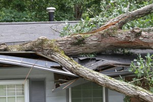 Home Damage Insurance Claims